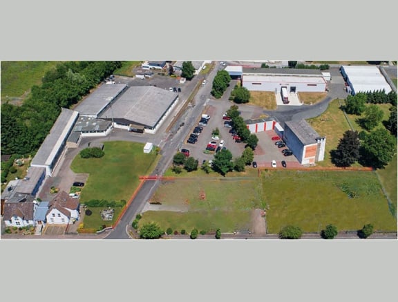 Hungen plant (755 x 574 px)